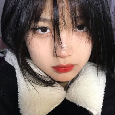 丑奴儿·书博山道中壁